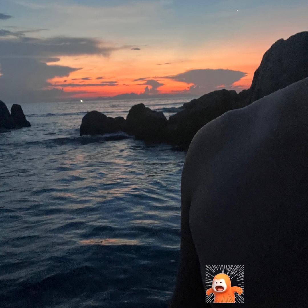 高高不喜欢左手上篮