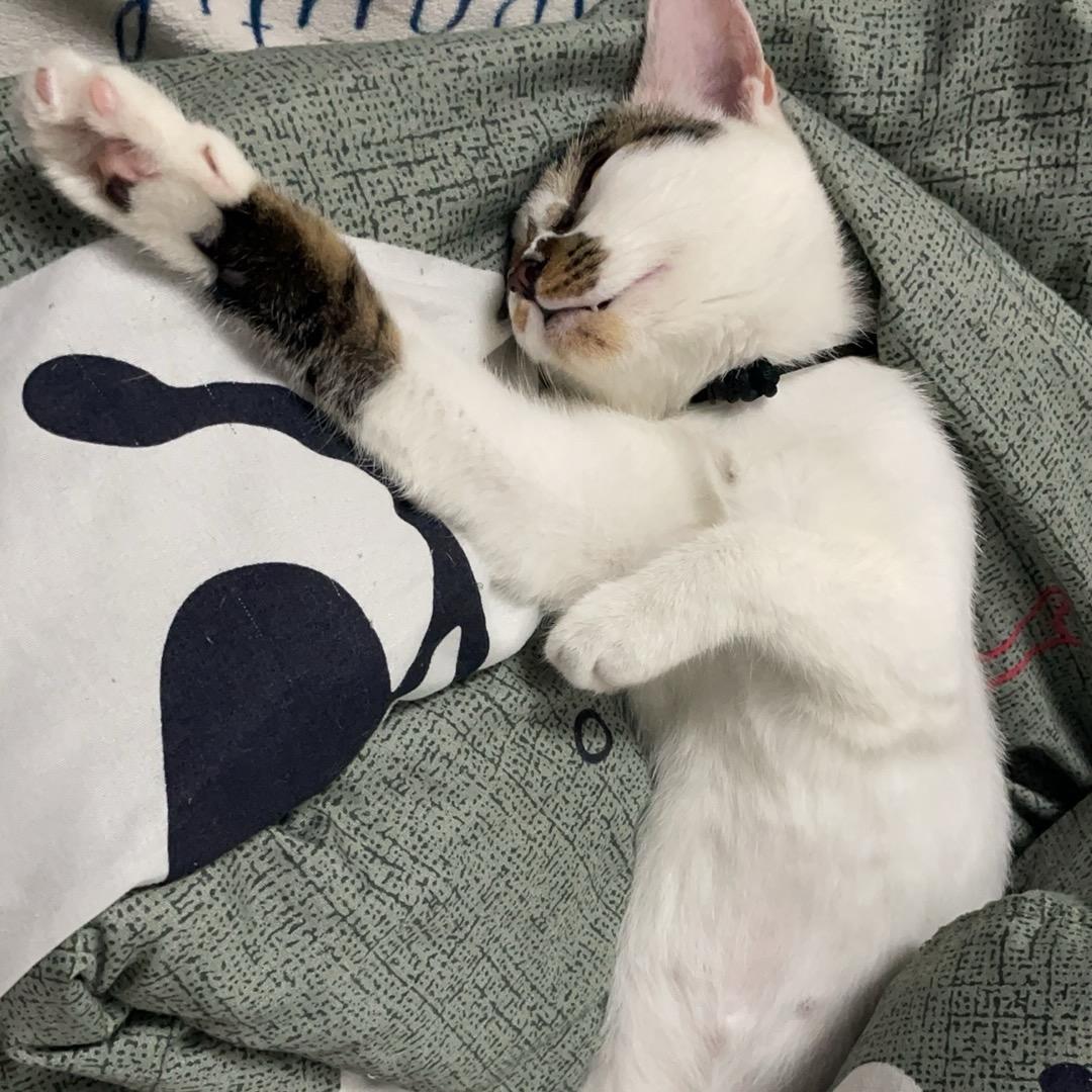 你不像个好人呀