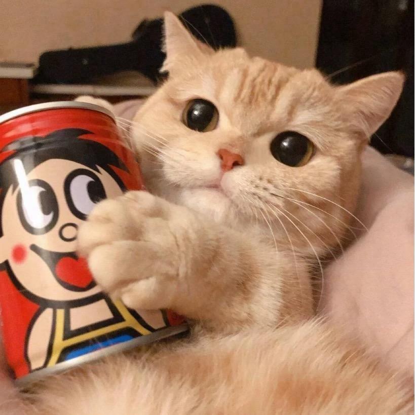 泡泡