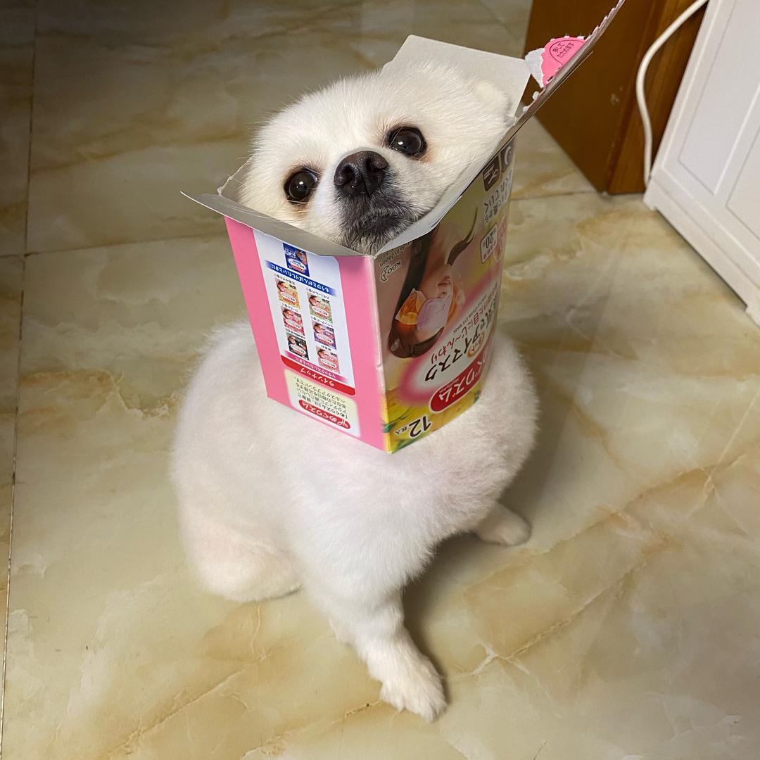 🍎懵了个大圈