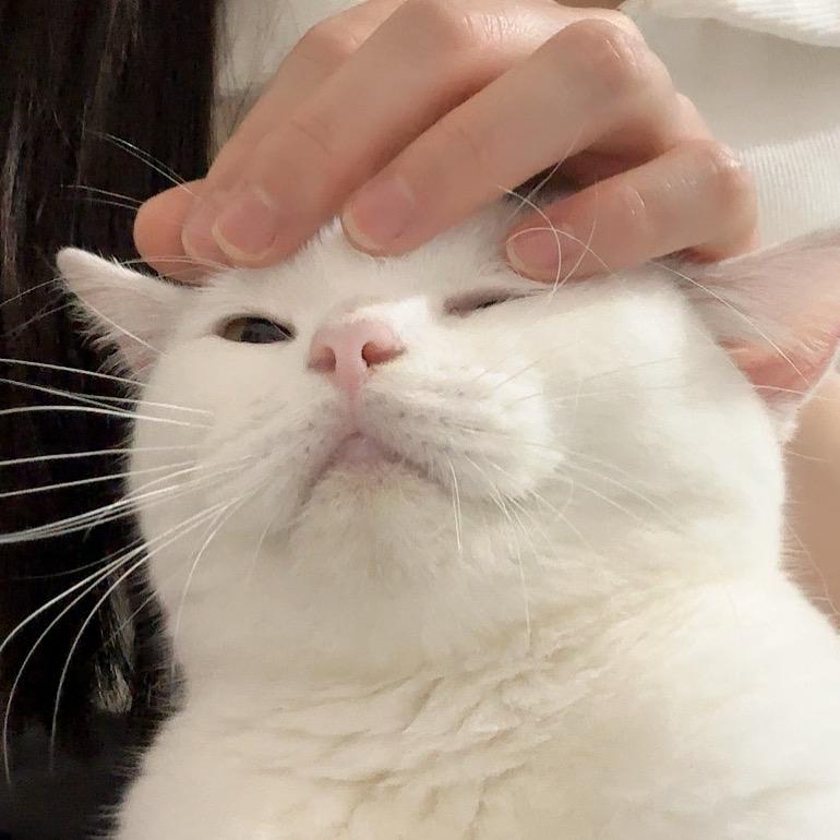 JIANG.