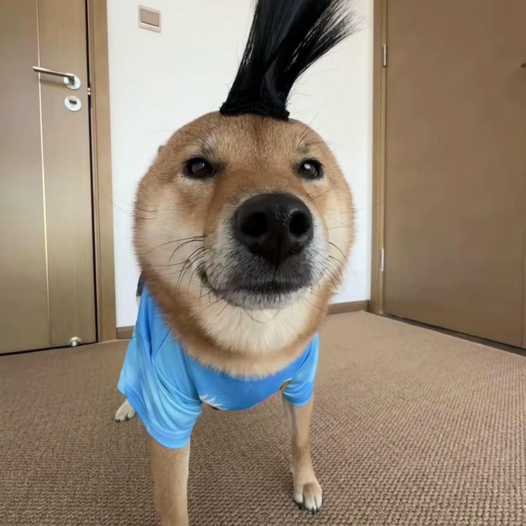 超凶a
