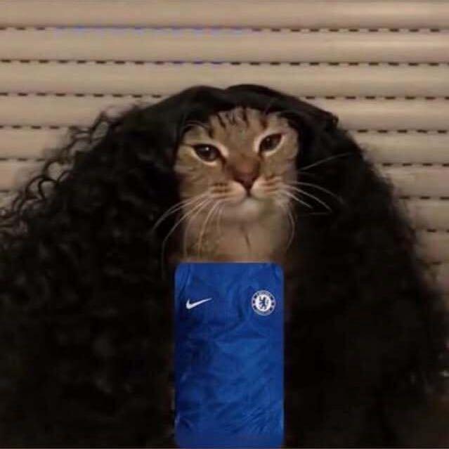 Cucucucurella