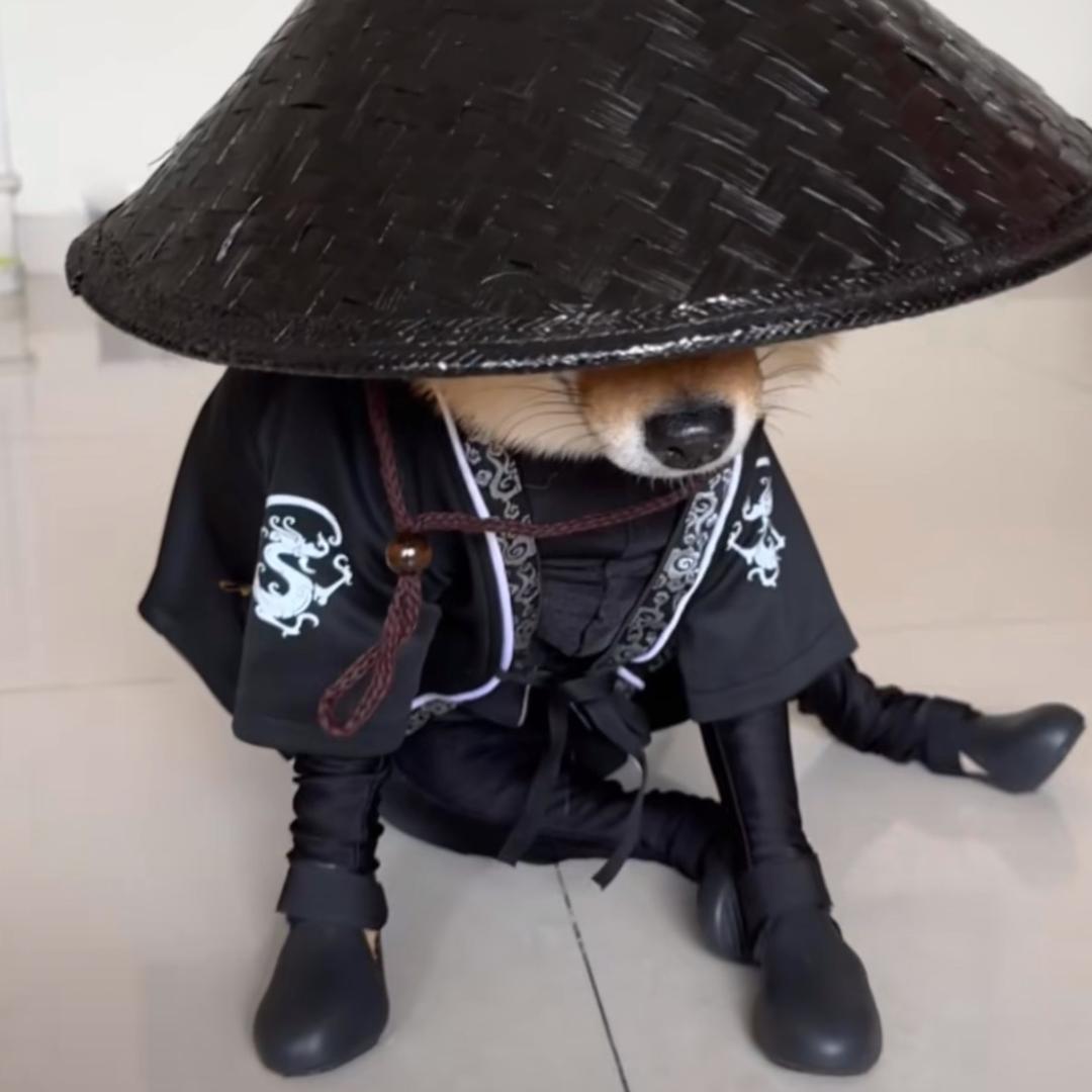 妮妮～