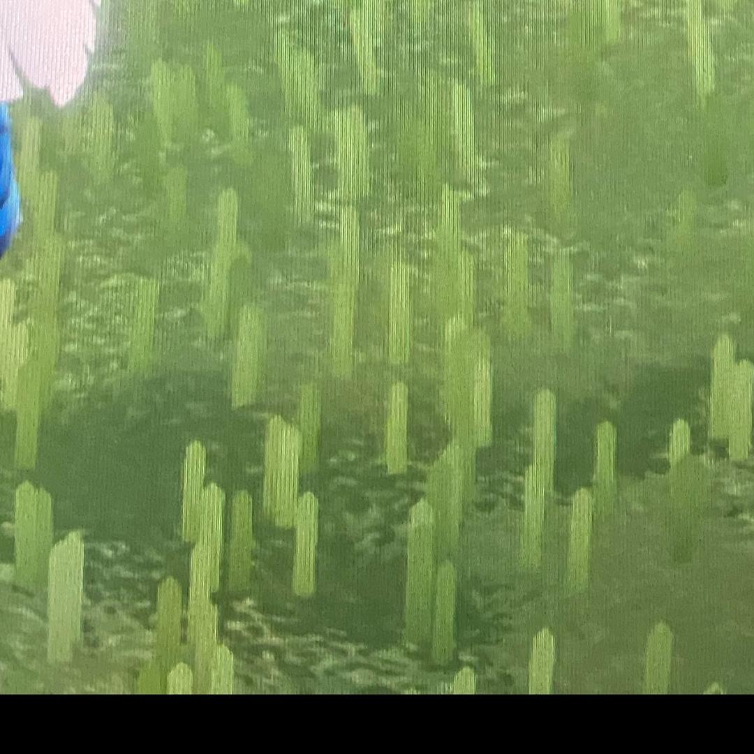 。。。。。。。。。。