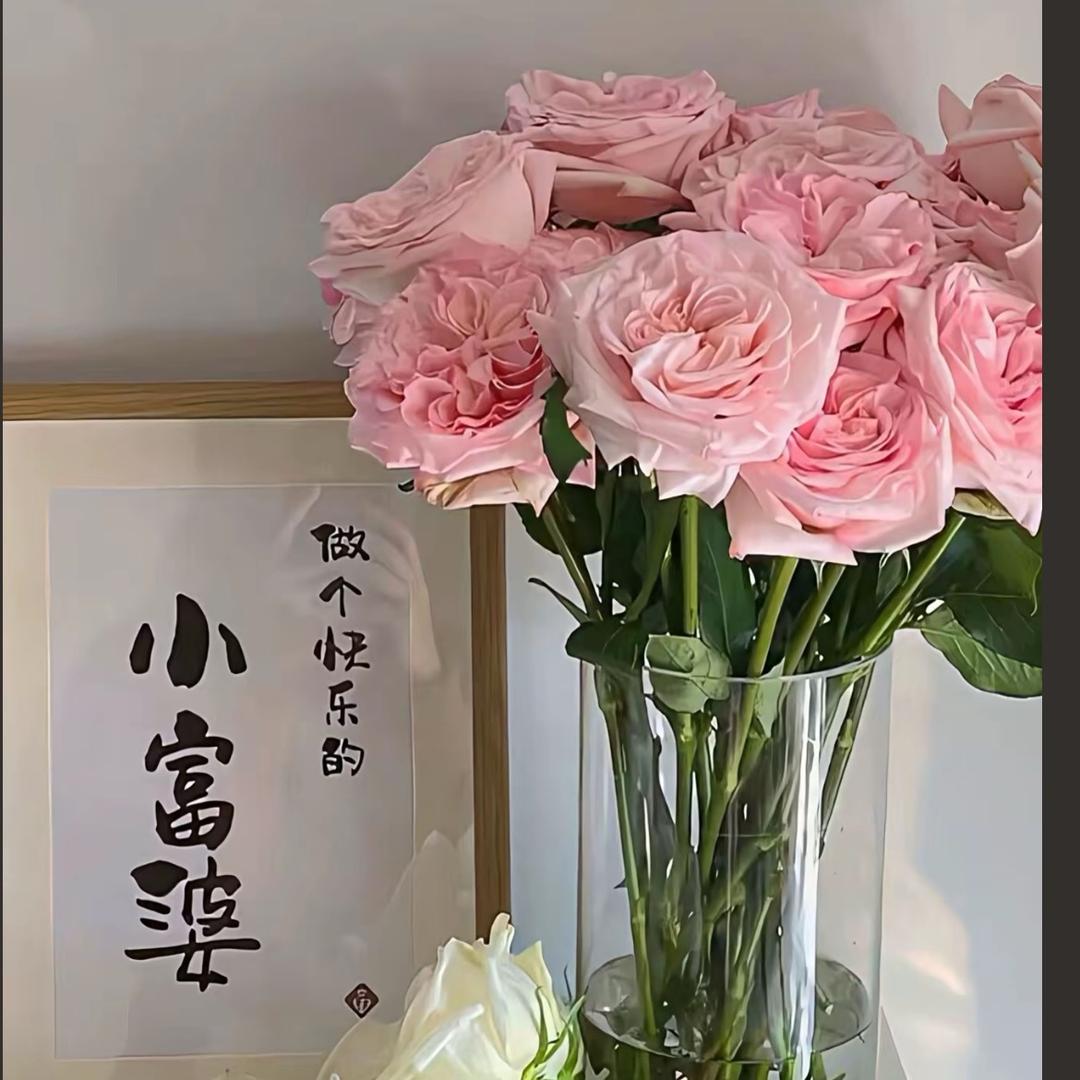💕清风徐来🦢