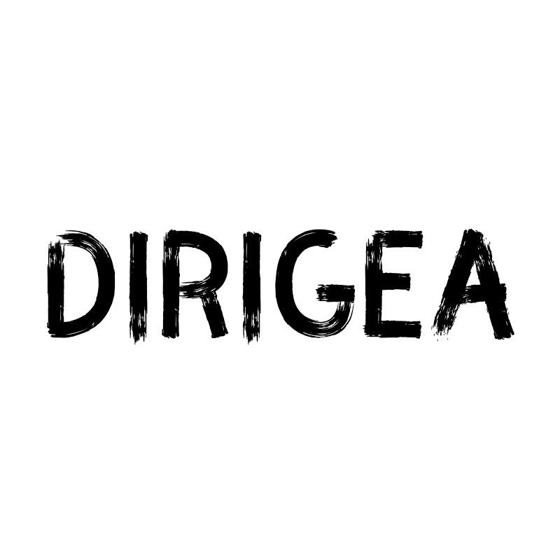 Dirigea服装企业店