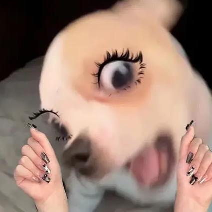 AAA小马美甲美睫