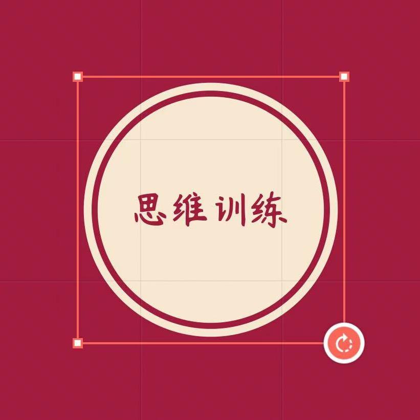 柚子益智玩具