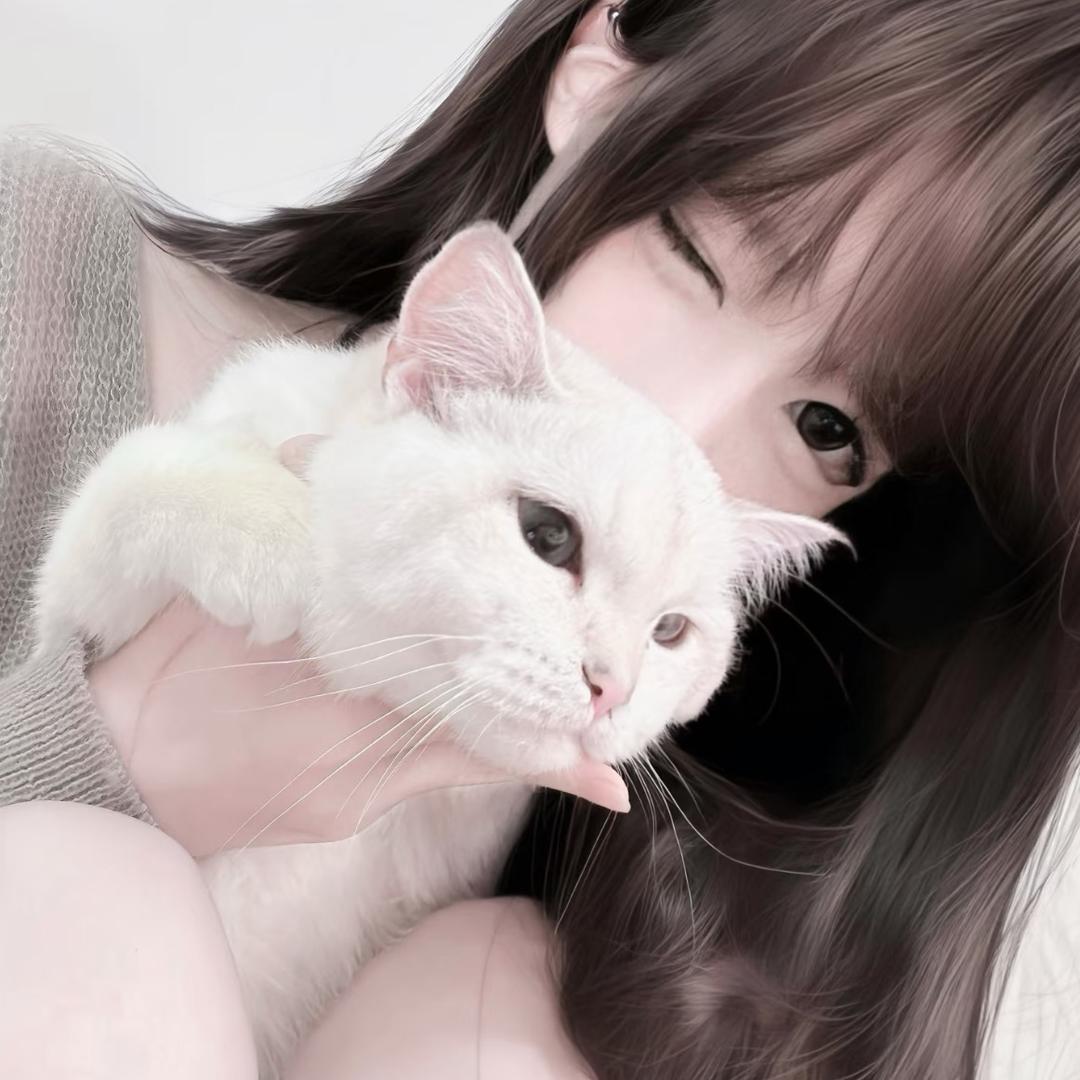 羊村村霸
