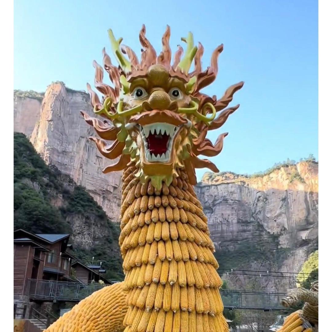 玉米丰收
