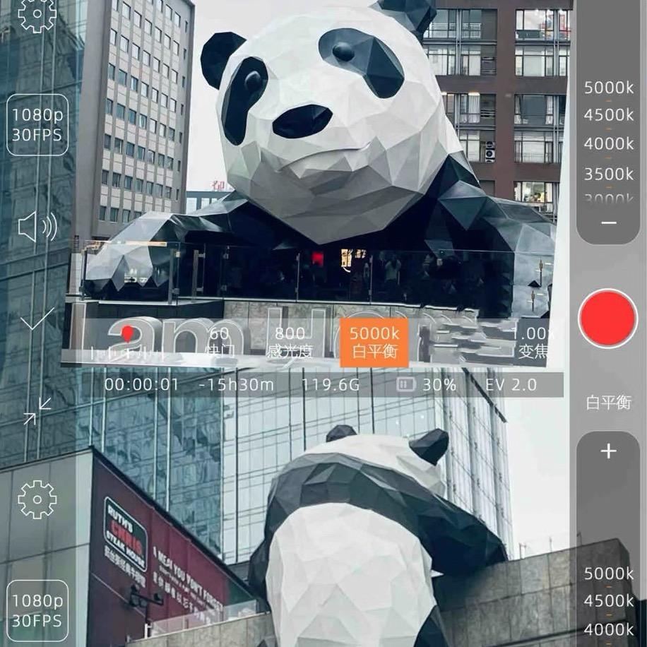 博乐市贝佳宠宠物
