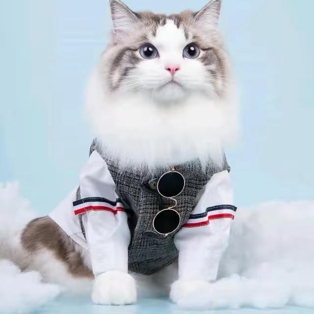 @꧁亲一下就跑꧂