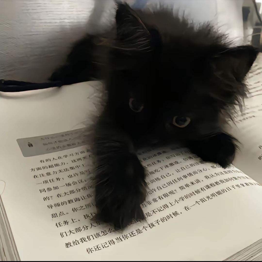 陈江姜