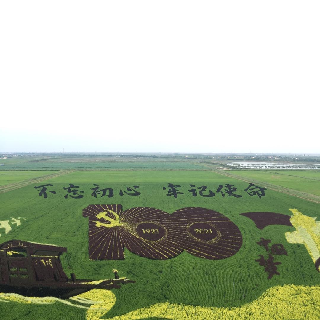 无趣的懒觉