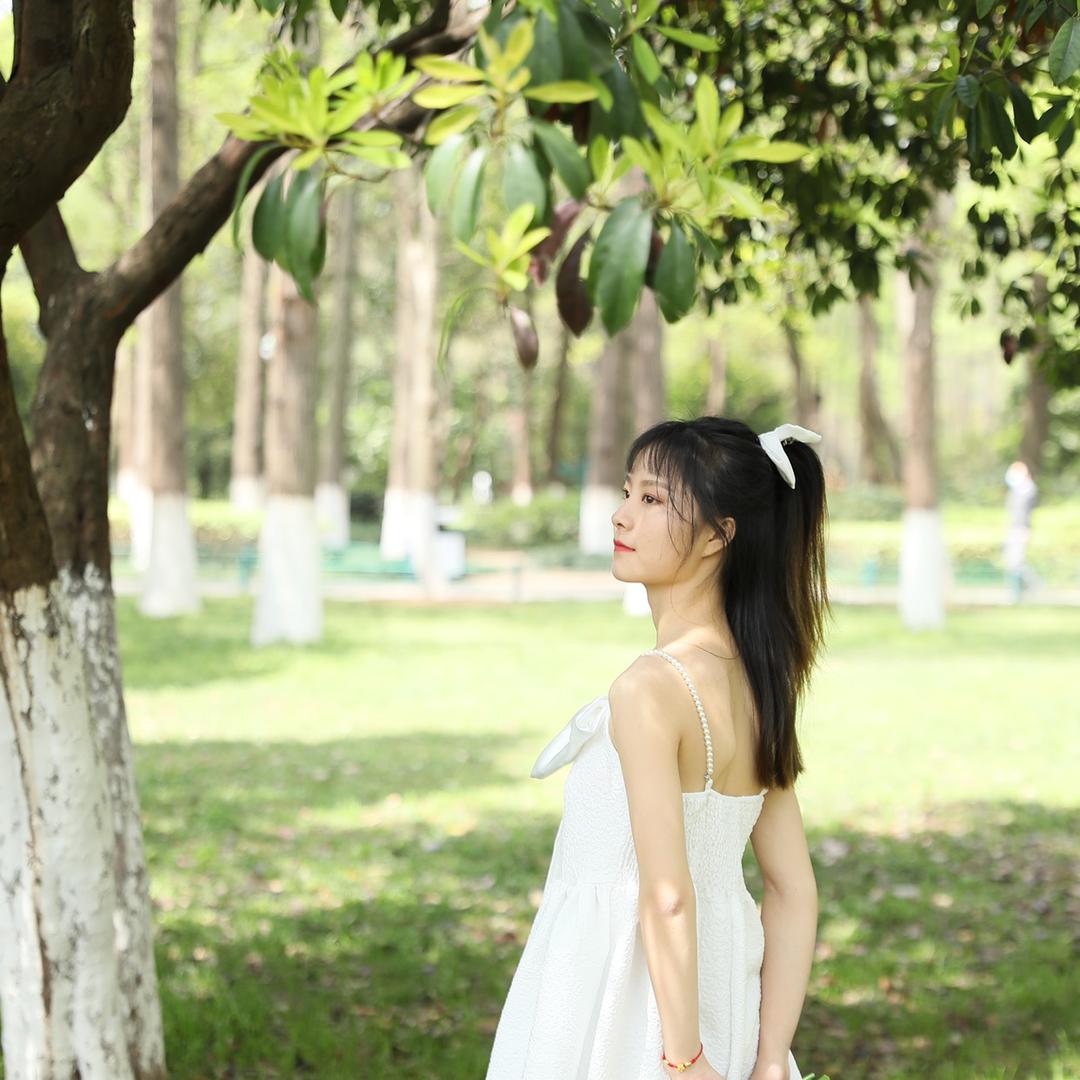 蠢突突