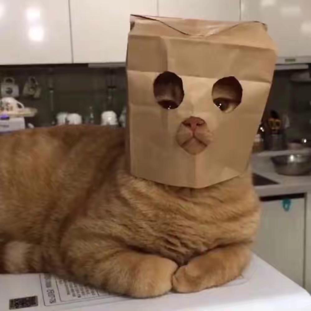 去干嘛