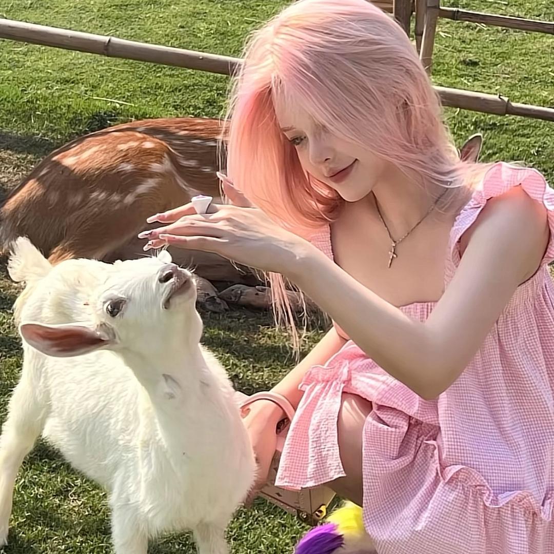 超级凶鸭🦆