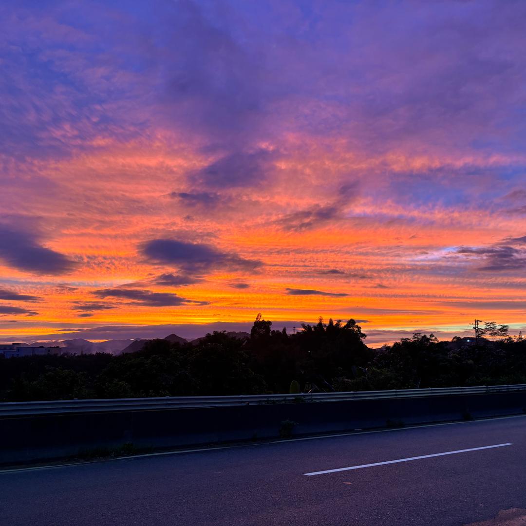 德庆皇帝柑鲜果坊