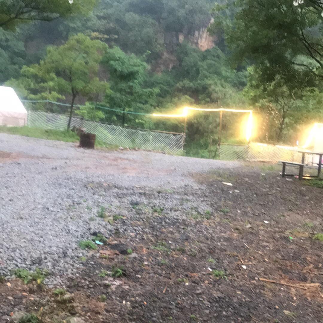 老沙