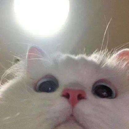 幻心解说