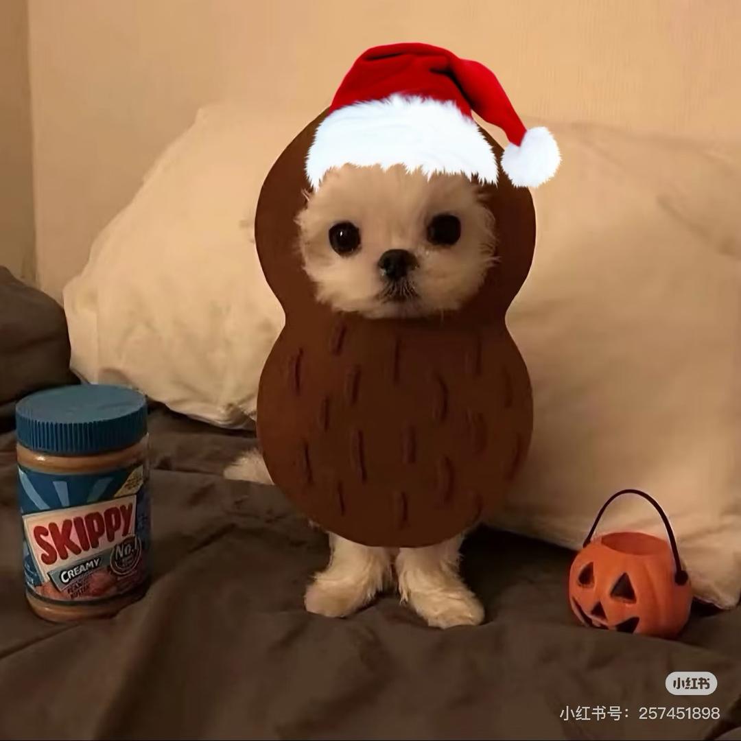 我要吃好多好吃的