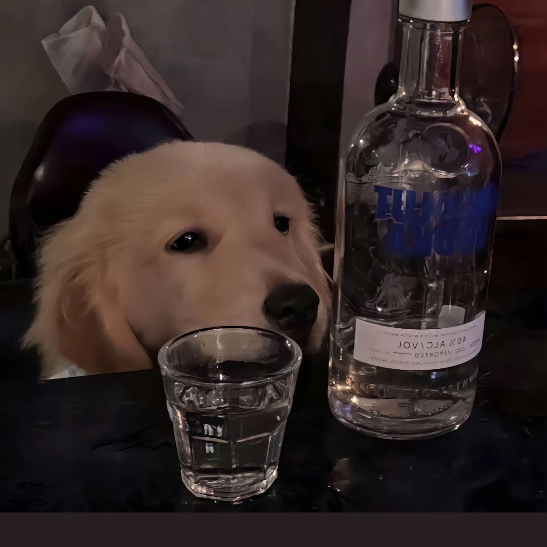 小团团