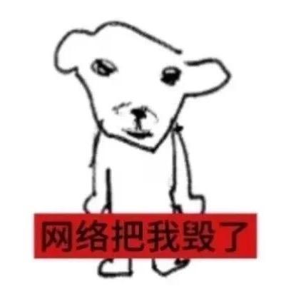 不是郑午
