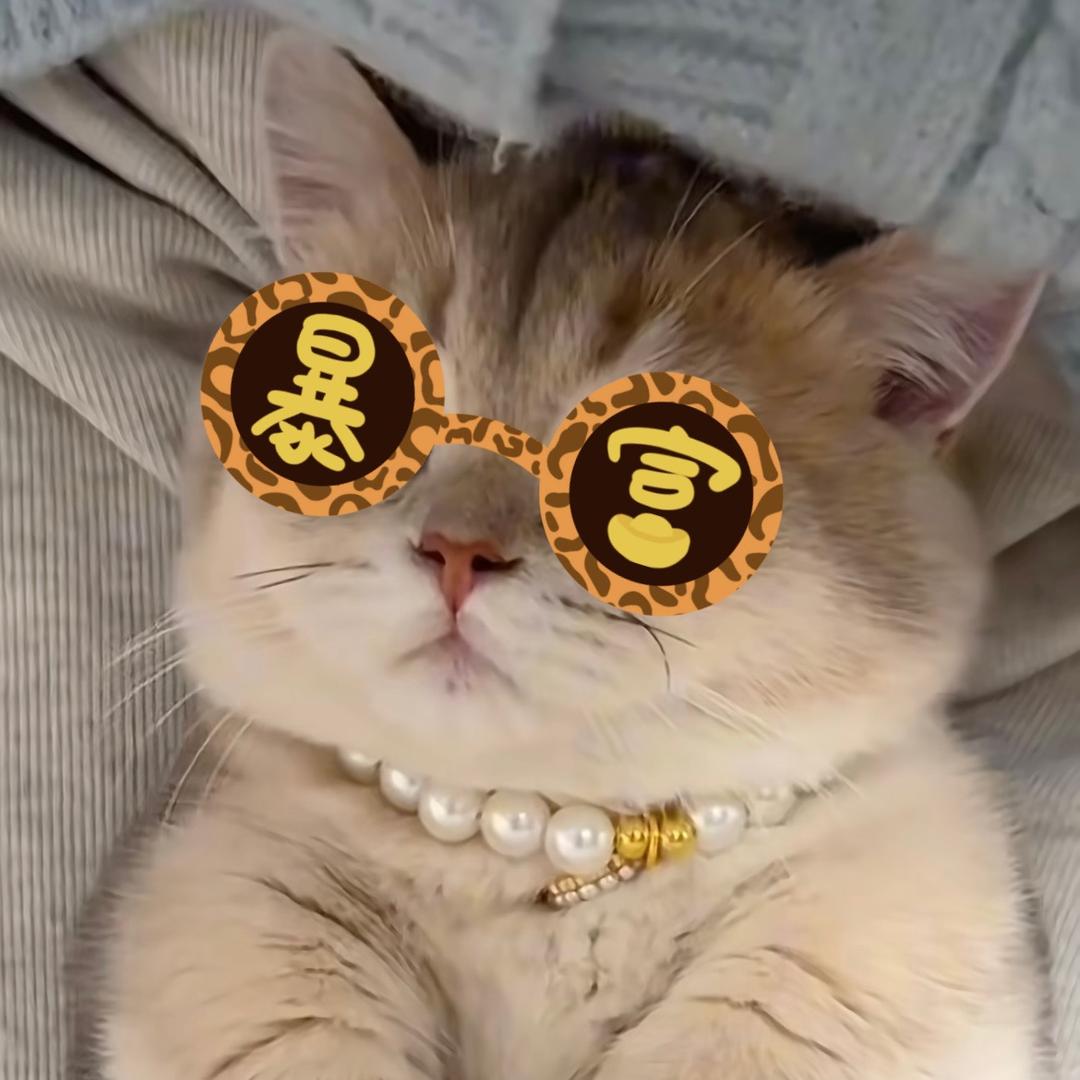 星星的猫meme