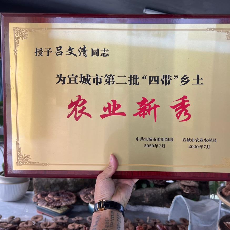 种灵芝的小农