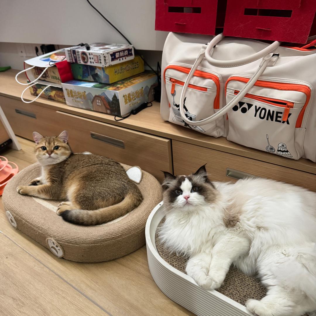 咕噜爱吃咕噜酱