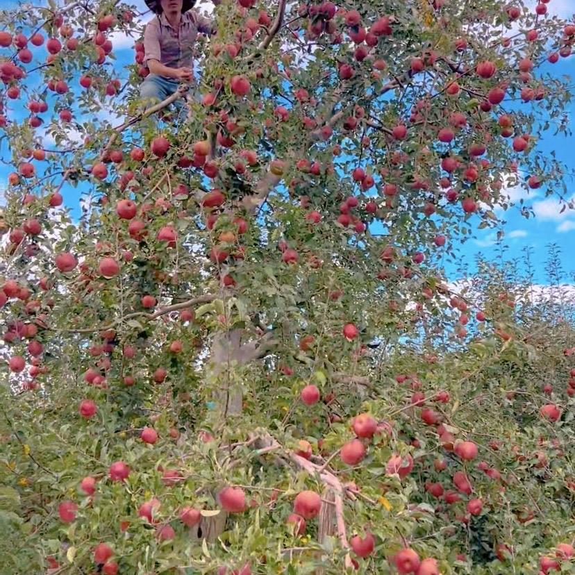 小山村里的乡味