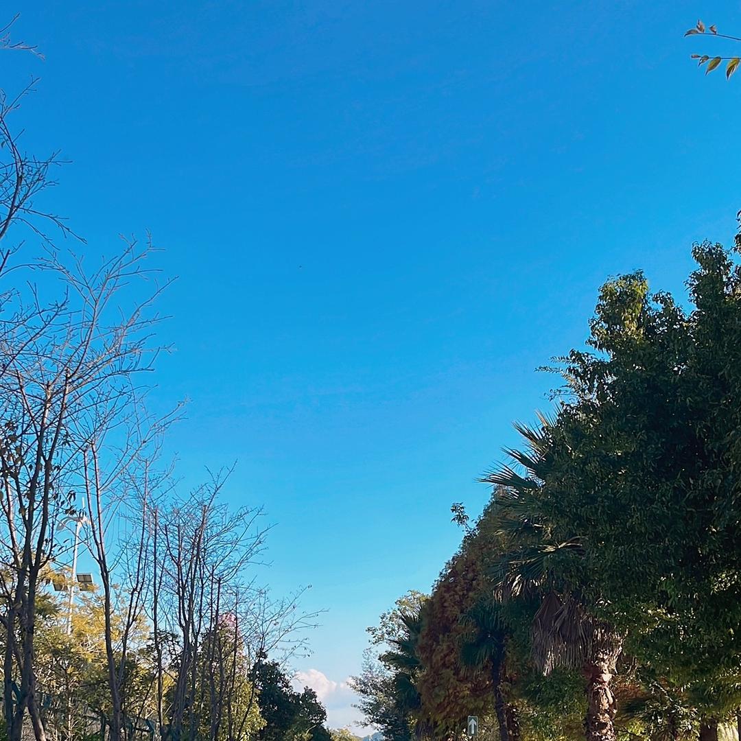 水中月🌛🌛拒绝连赞