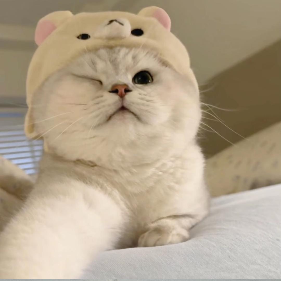 y ㅤㅤㅤㅤㅤㅤㅤ