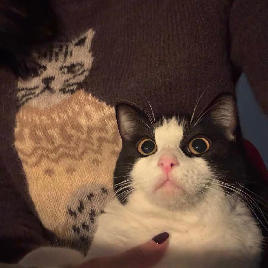 UOOOOA