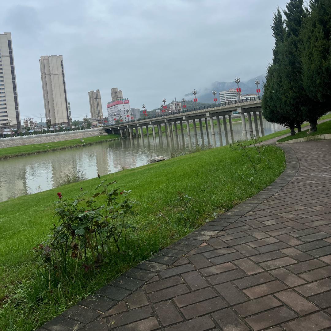 半路问心