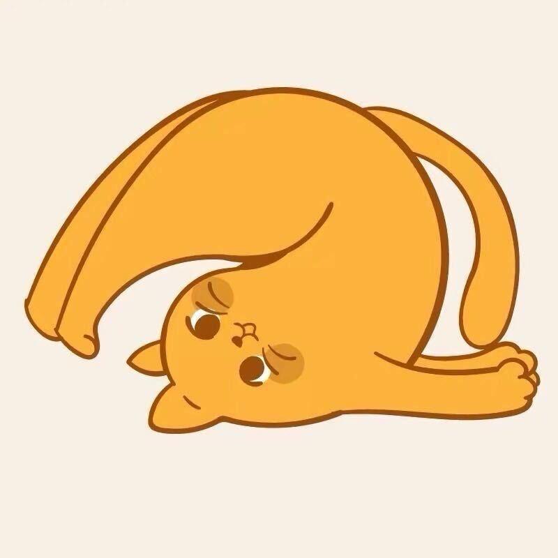 大熊🐻🛫首播