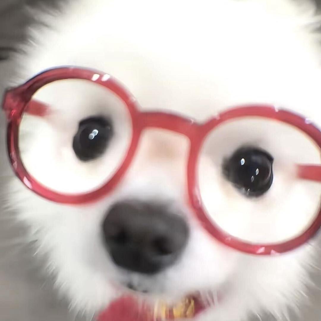 橡树果大王