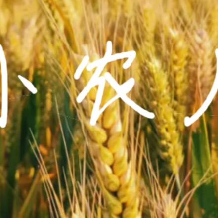 希望的田野