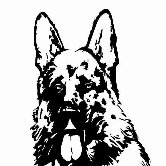 一个养德牧的小伙