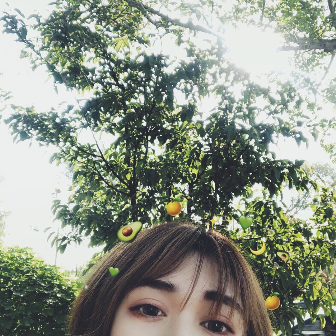 梦游的鸡腿子