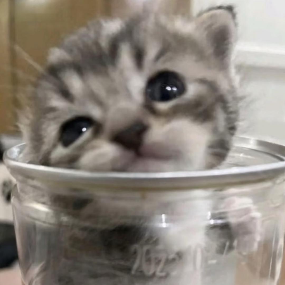 江衍