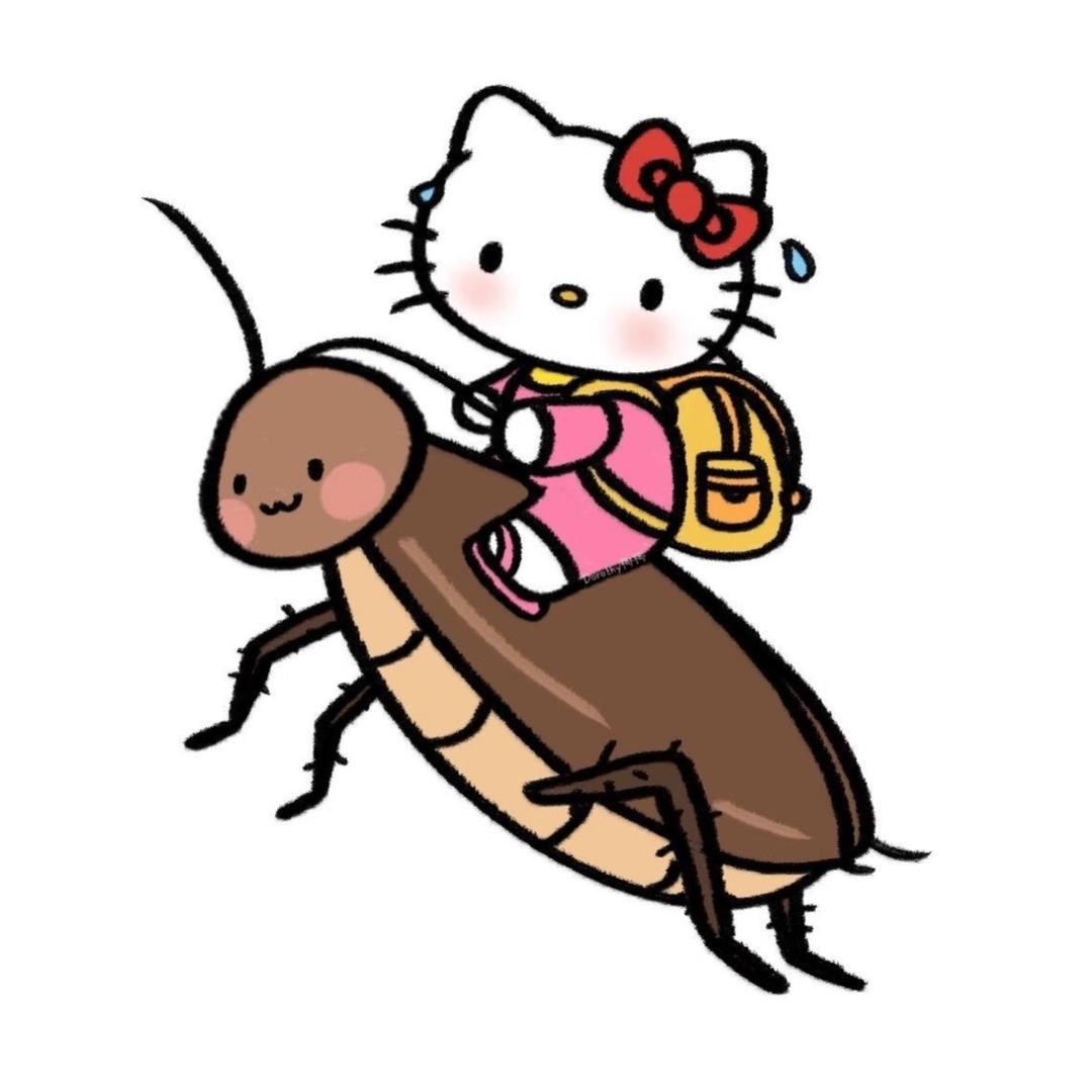 坨坨公主