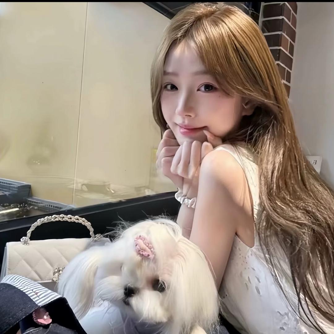 圆圆o