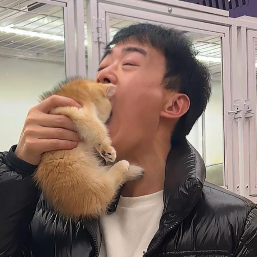 养猫的小刘同学