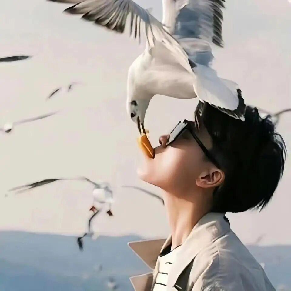 给我感动
