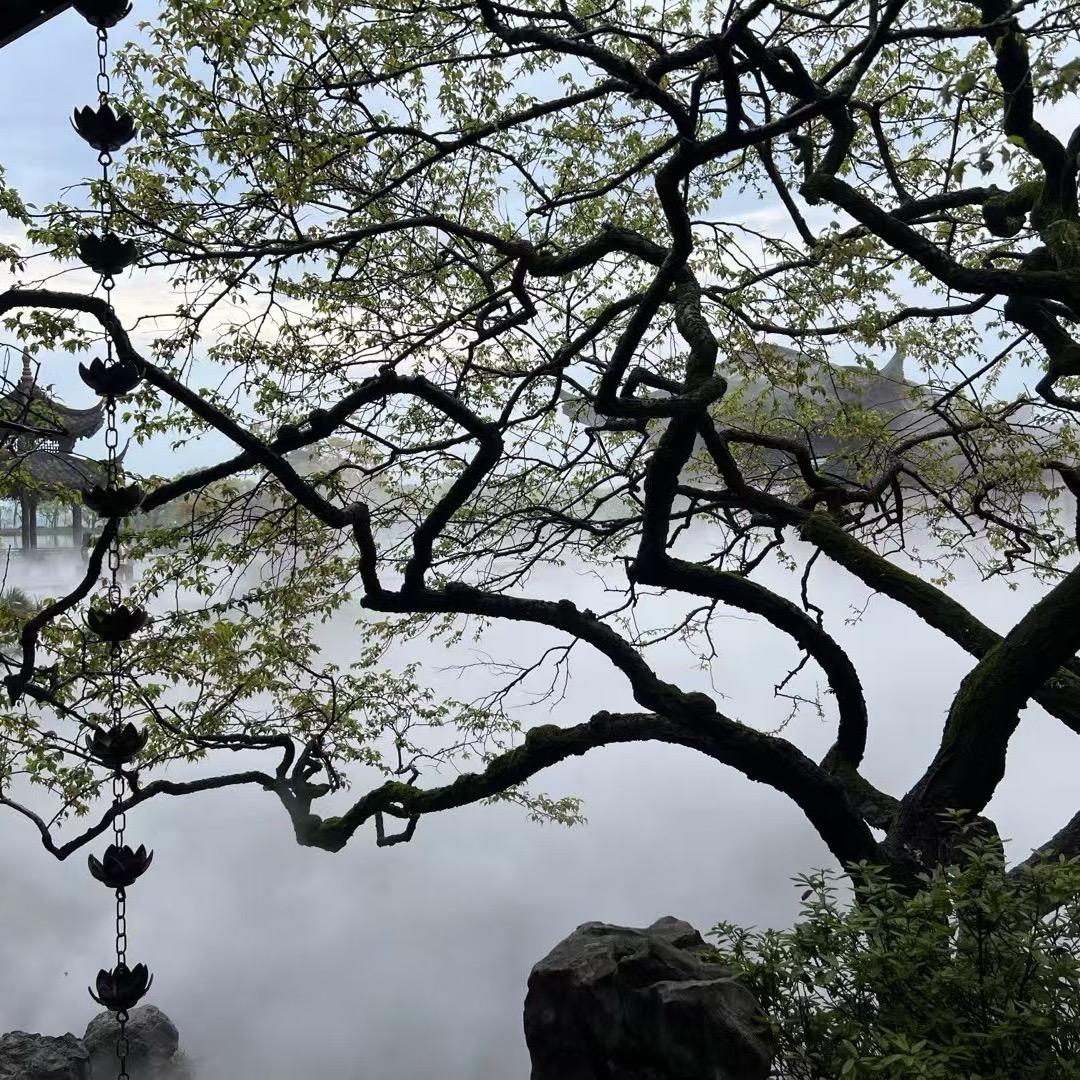 绿水青山