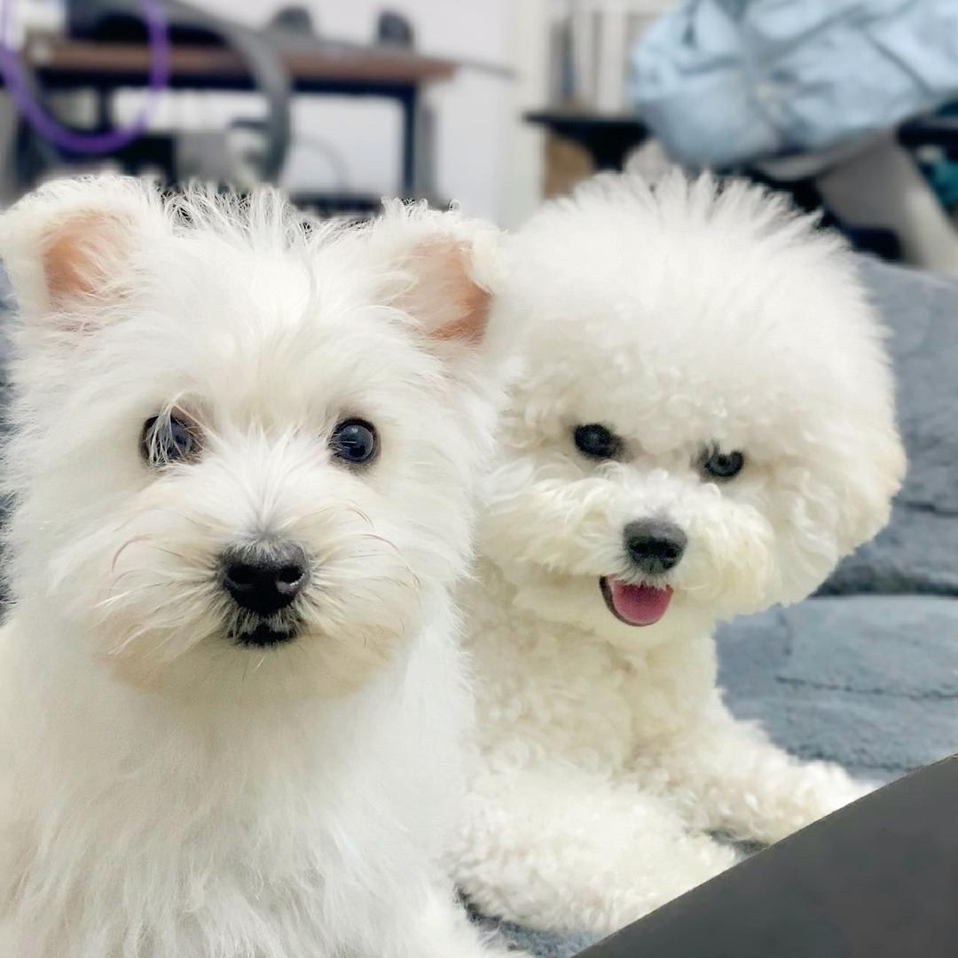 小唐说哆啦笨屎啦