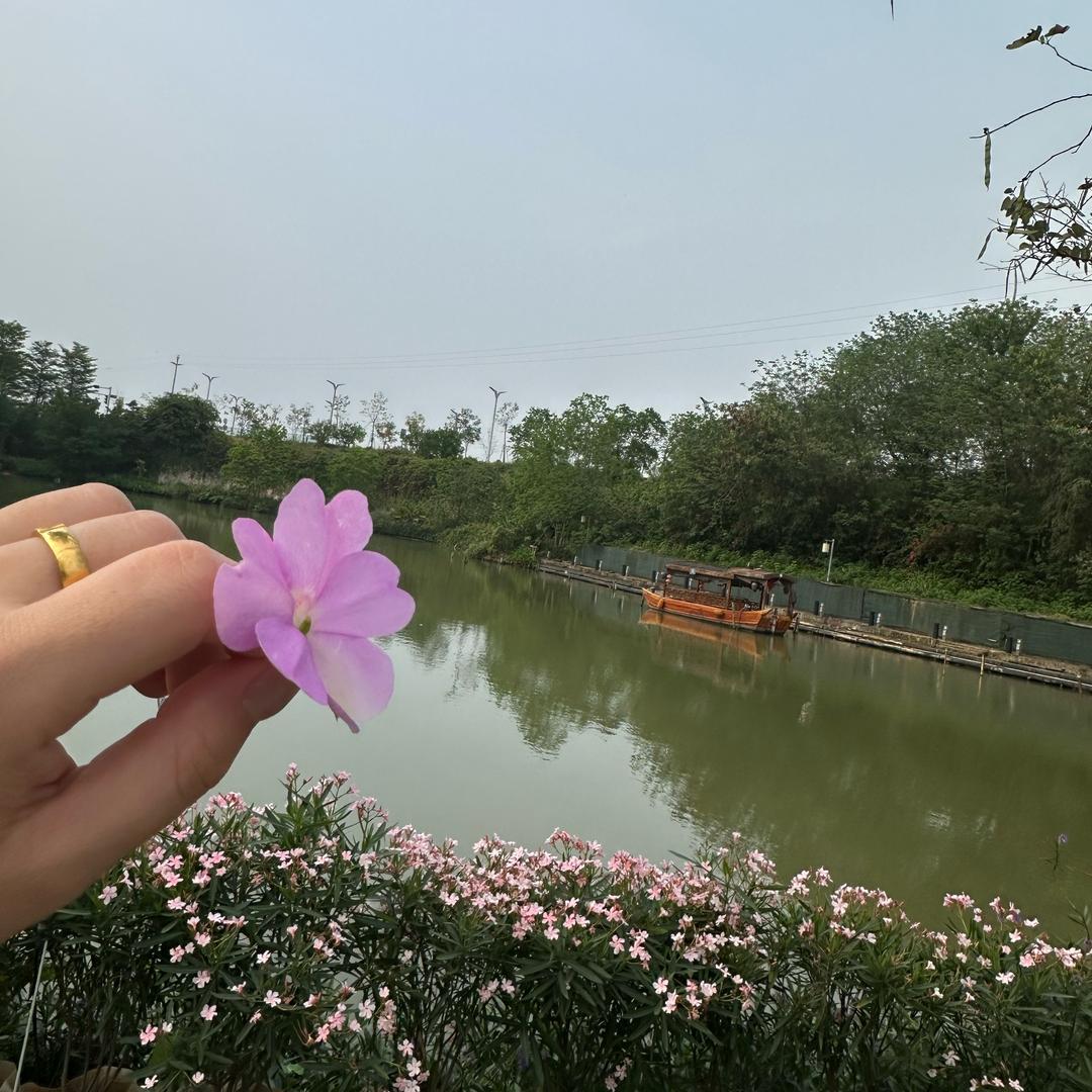 小不点