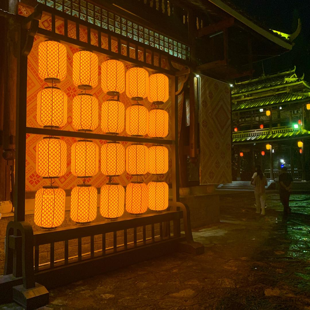 楊🌱🌱🌱🌱楊